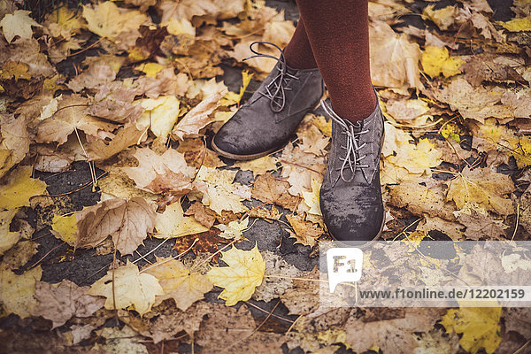 Woman wearing leather shoes  standing on autumn leaves  partial view