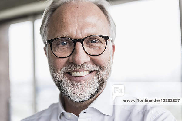 Portrait of smiling mature businessman