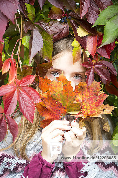 Portrait of happy girl hiding behind autumn leaves