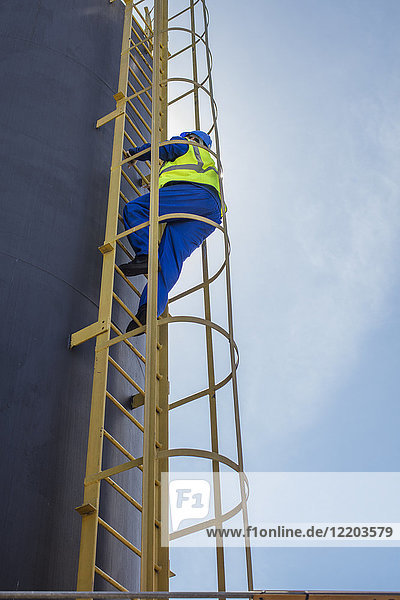 South Africa Cape town Construction worker climbing up ladder
