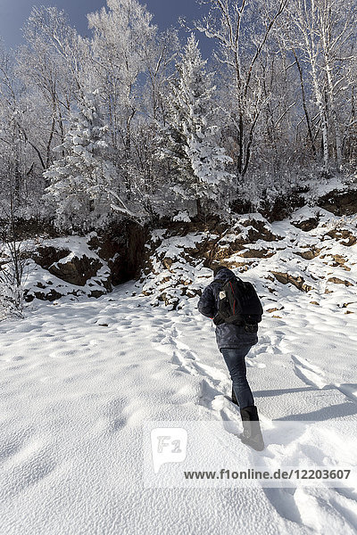 Russia  Amur Oblast  back view of man walking in snow-covered nature