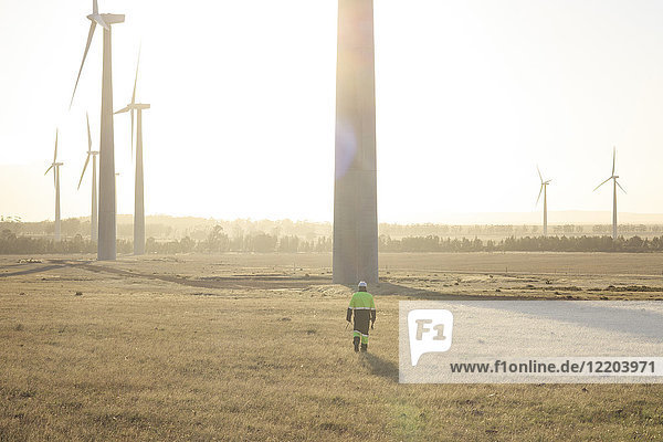 Engineer walking on a wind farm at sunset