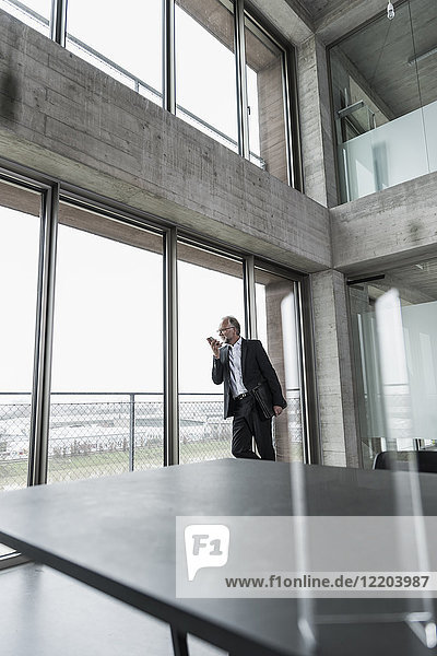 Mature businessman at the window using cell phone