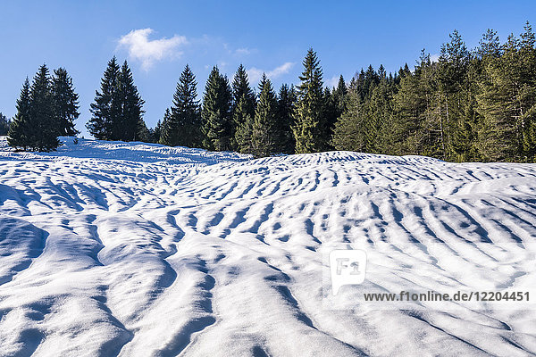 Deutschland  Bayern  Oberbayern  Garmisch-Partenkirchen  Werdenfelser Land  Buckelwiese im Winter