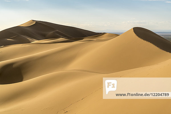Khongor-Sanddünen im Gobi-Gurvan-Saikhan-Nationalpark  Bezirk Sevrei  Provinz Südgobi  Mongolei  Zentralasien  Asien