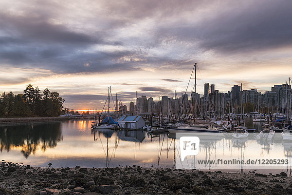Vancouver city in the morning  viewed from the Stanley Park  Vancouver  British Columbia  Canada  North America