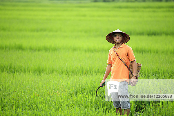 Landwirt mit kegelförmigem Hut in Reisfeldern  Mai Chau  Hoa Binh  Vietnam  Indochina  Südostasien  Asien