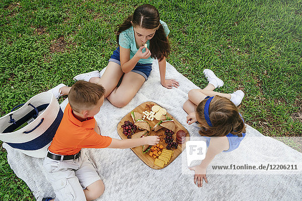 Kaukasischer Bruder und Schwestern essen Snacks auf einer Picknickdecke