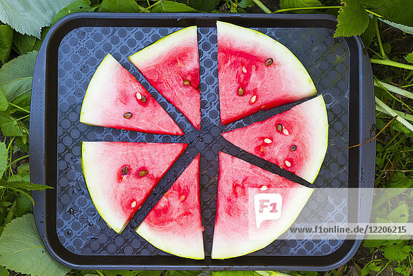 Wassermelonenscheiben auf Plastikschale