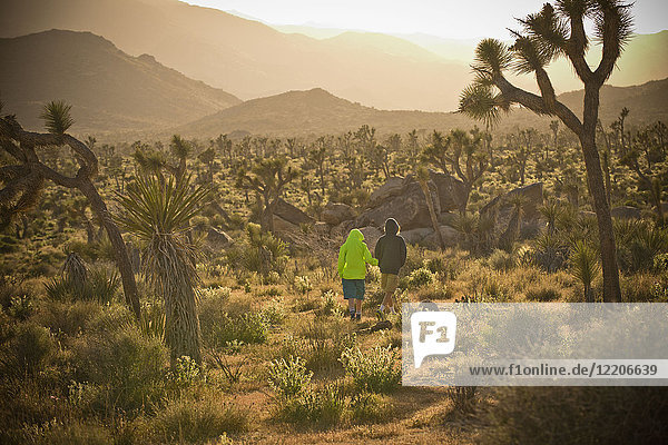 Distant boys walking in desert