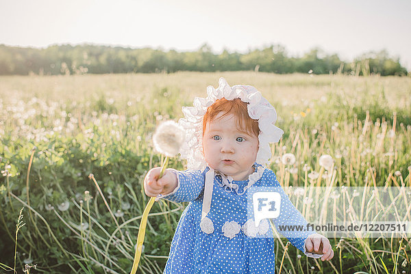 Baby girl in field  holding dandelion