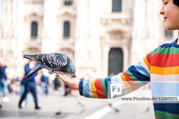 Junge füttert Taube auf dem Platz  Mailand  Lombardei  Italien