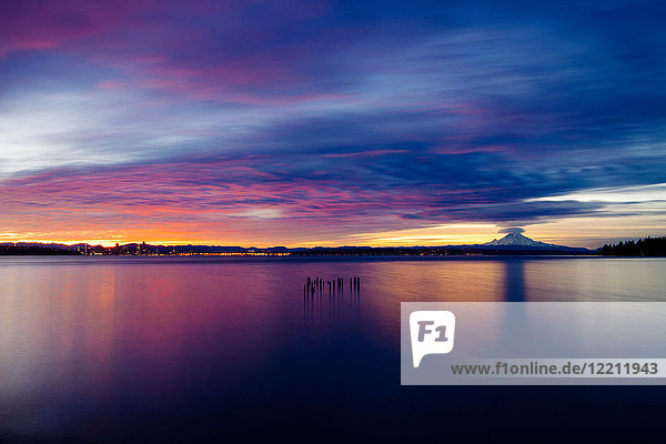 Hölzerne Stümpfe  die bei Sonnenuntergang aus dem Wasser ragen  Bainbridge  Washington  Vereinigte Staaten