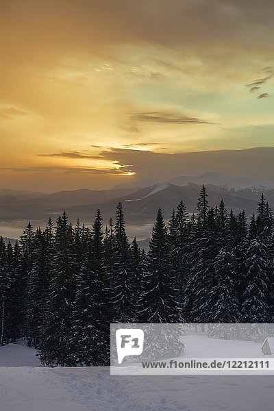 Sonnenuntergang über dem Wald im Winter  Gurne  Ukraine