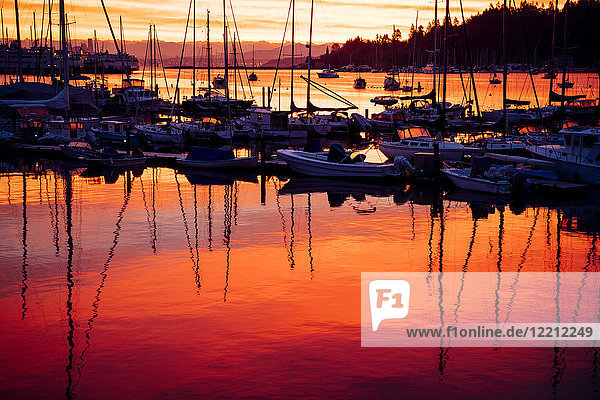 Boats in harbour at sunset  Bainbridge  Washington  USA