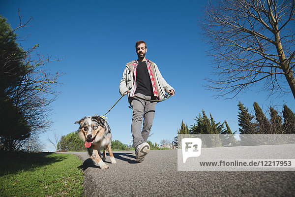 Mittelgroßer erwachsener Mann beim Spaziergang mit Hund im Park  niedriger Blickwinkel