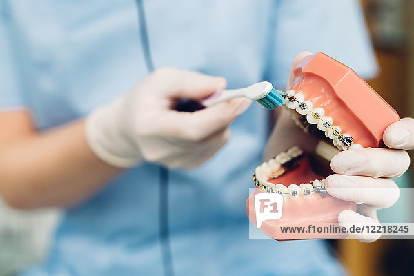 Zahnarzt reinigt falsche Zähne mit der Zahnbürste  Mittelteil  Nahaufnahme