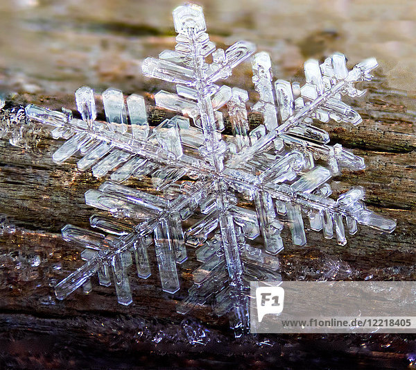 Hexagonal frozen crystal formed from hoar frost