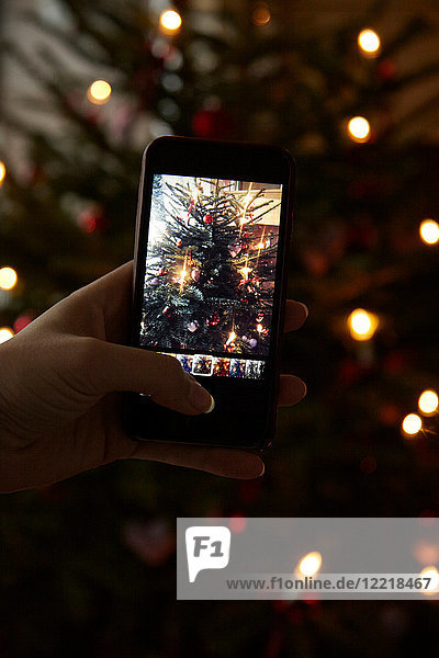 Hand holding mobile phone  taking photograph of Christmas tree