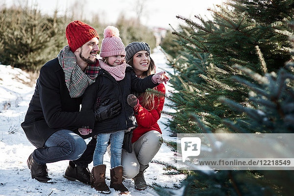 Girl and parents looking at forest christmas trees