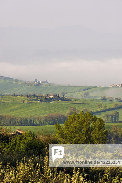 Landschaft  Umgebung von Montecchio  Umbrien  Italien