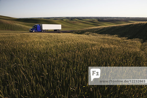 kommerzieller Lastwagen,  der bei Sonnenuntergang durch Weizenfelder im Osten Washingtons,  USA,  fährt.