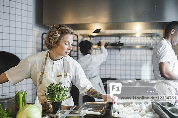 Köchin beim Kochen in der Küche gegen Kollegen im Restaurant