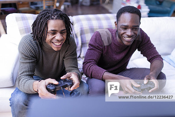 Smiling brothers playing video game on sofa