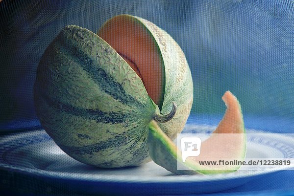 Melone unter Fliegenhaube