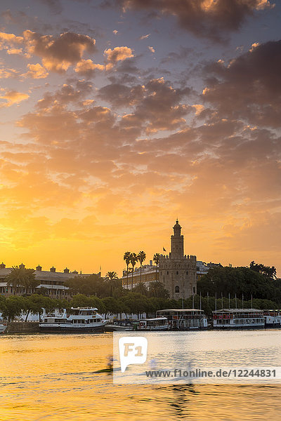 Torre del Oro (Goldener Turm) bei Sonnenaufgang  Sevilla  Andalusien  Spanien  Europa