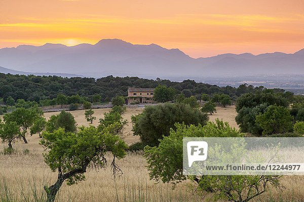 Blick auf Landschaft mit Olivenbäumen und Bergen in der Abenddämmerung mit Bauernhaus in der Landschaft  Mallorca  Balearen  Spanien  Mittelmeer  Europa