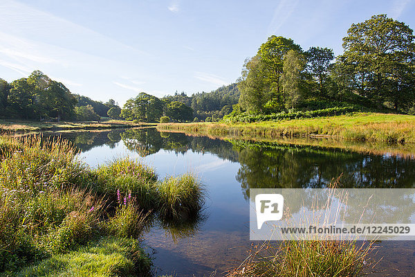 Fluss Brathay  Elter Water  Lake District  UNESCO-Welterbe  Cumbria  England  Vereinigtes Königreich  Europa