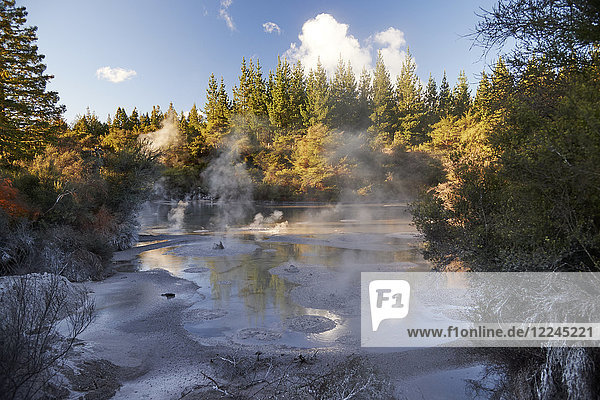 A thermal mud pool bubbles near to Wai-o-tapu Thermal Wonderland  Rotorua  North Island  New Zealand  Pacific