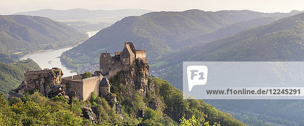 Aggstein Castle Ruin on Danube River at sunset  Cultural Landscape Wachau  UNESCO World Heritage Site  Austria  Europe