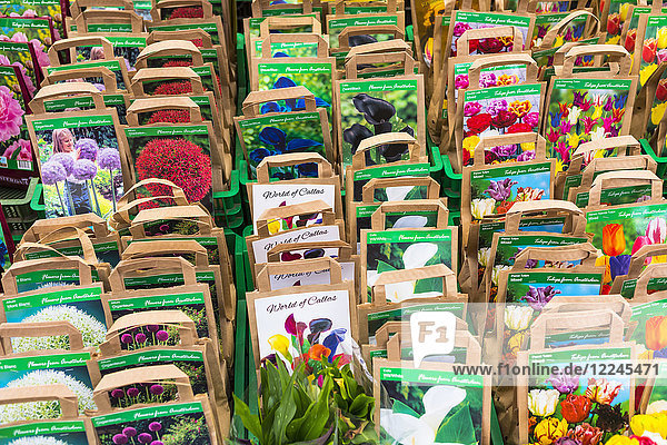 Blumensamen zu verkaufen in Bloemenmarkt  Amsterdam  Niederlande  Europa