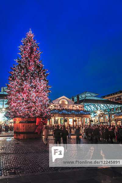 Christmas tree  Covent Garden  London  England  United Kingdom  Europe