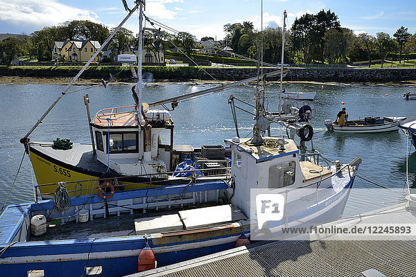 Fishing boats  Castletown  Castletownbere  Beara Peninsula  Wild Atlantic Way  County Cork  Munster  Republic of Ireland  Europe
