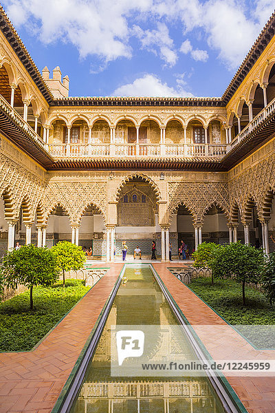 Real Alcazar  UNESCO-Weltkulturerbe  Stadtteil Santa Cruz  Sevilla  Andalusien (Andalusien)  Spanien  Europa