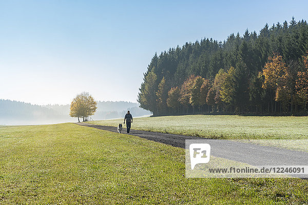 Mann und Hund gehen entlang einer Straße in der Landschaft  Heinstetten  Baden-Württemberg  Deutschland  Europa