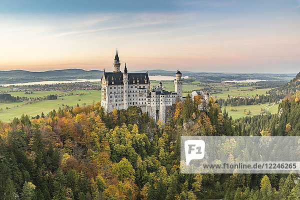 Schloss Neuschwanstein umgeben von bunten Tannen bei Sonnenuntergang  Schwangau  Schwaben  Bayern  Deutschland  Europa