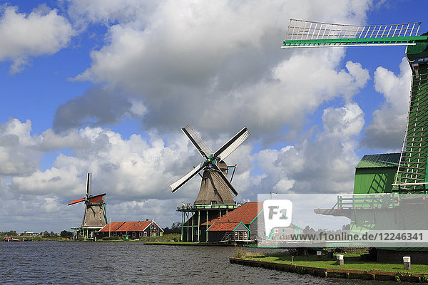 Windmühlen  Historisches Dorf Zaanse Schans  Zaandam  Nordholland  Niederlande  Europa