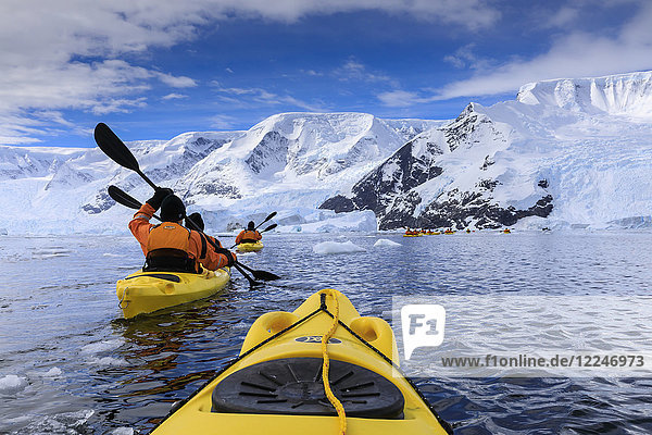 Kajakfahren zwischen spektakulären Eisbergen  Bergen und Gletschern  sonniger Neko Harbour  Anvord Bay  Antarktische Halbinsel  Antarktis  Polarregionen