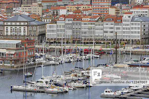 Yacht Marina  La Coruna City  Galicia  Spain  Europe