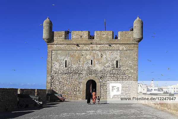 Skala du Port  Fort  Festungsmauern aus dem 18. Jahrhundert  Essaouira  Marokko  Atlantikküste  Nordafrika  Afrika