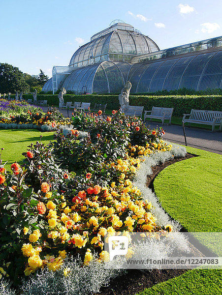 Palm House  Kew Gardens  UNESCO-Weltkulturerbe  Kew  Greater London  England  Vereinigtes Königreich  Europa