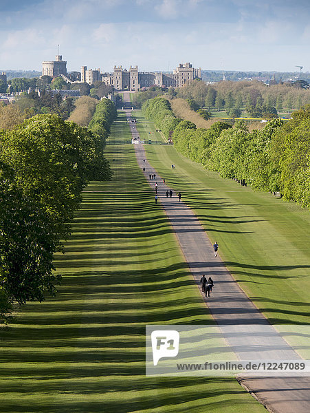 Schloss Windsor vom Long Walk aus  Windsor  Berkshire  England  Vereinigtes Königreich  Europa
