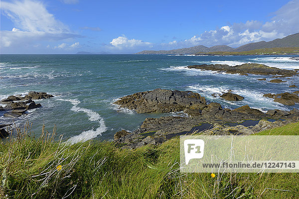 Ballydonegan Bay  Ring of Beara  Beara Peninsular  Wild Atlantic Way  Grafschaft Cork  Munster  Republik Irland  Europa