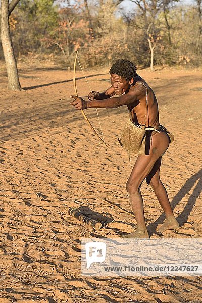 San man with bow and arrow  Bushman tribe  Kalahari  Namibia  Africa
