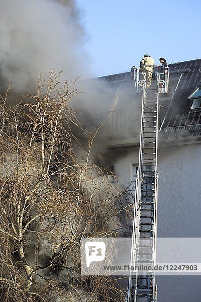 Rauch aus Hausfenstern  Feuerwehreinsatz mit Drehleiter  Moabit  Berlin  Deutschland  Europa