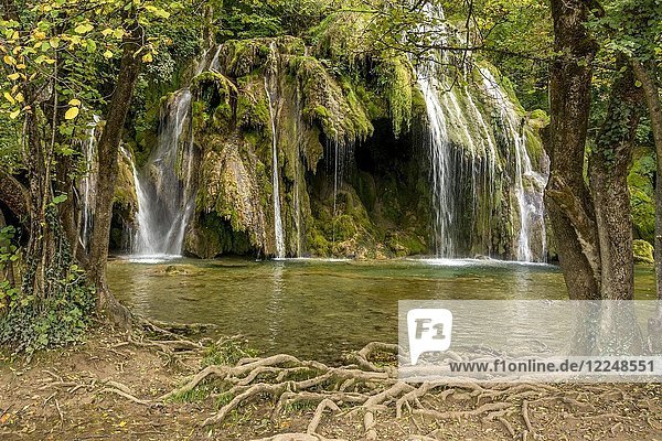 Wasserfall von Tufs  Fluss Cuisance  Departement Jura  Bourgogne-Franche-Comté  Frankreich  Europa